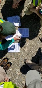 scientists in a group studying insects