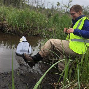 scientist allyson jackson stepping through the mud