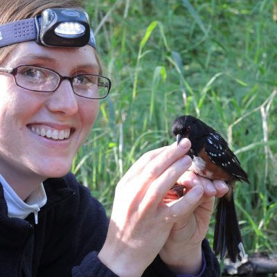 scientist Allyson Jackson holding small bird