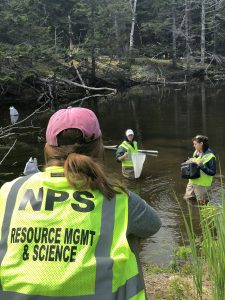 group of scientists studying in a bog