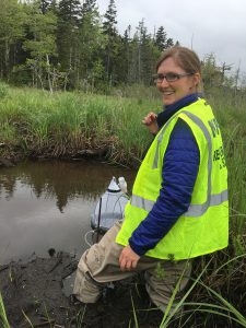 scientist working in a bog