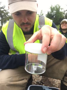 scientist looking at insect in plastic jar