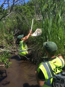 scientists working in a bog