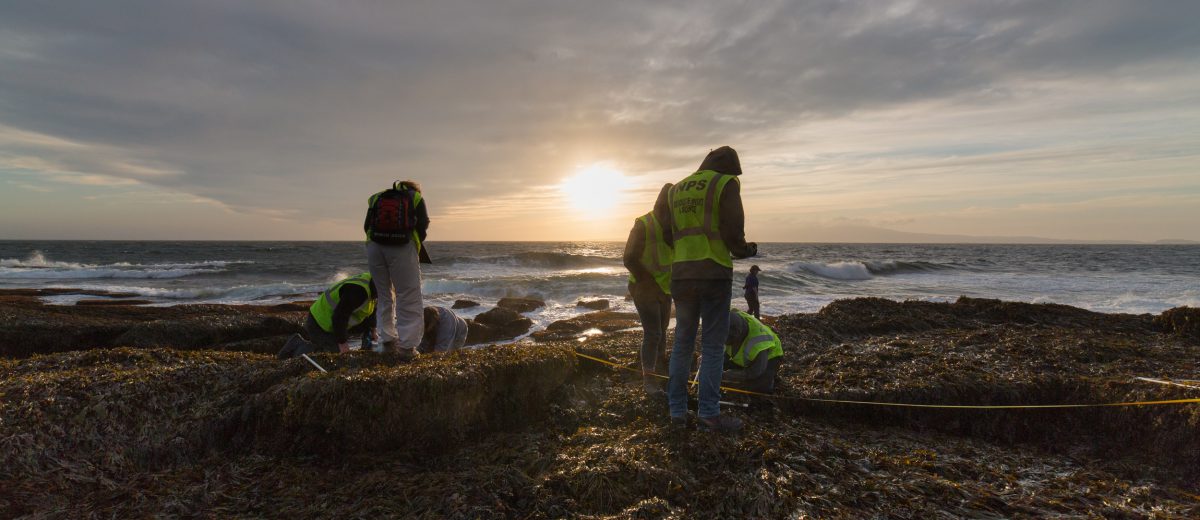 photo of national park service scientists on coast