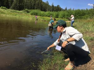 Katherine Ko dips a net into a stream