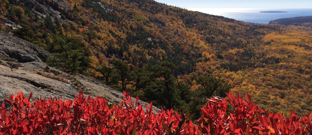 Scientists want your photos to study fall foliage in Acadia Second